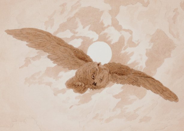 Lechuza Friedrich.jpg