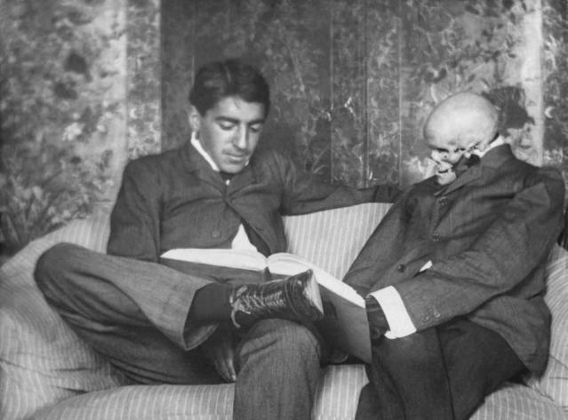 Marañón calavera.jpg